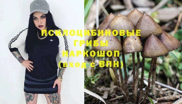 mdma Кукмор