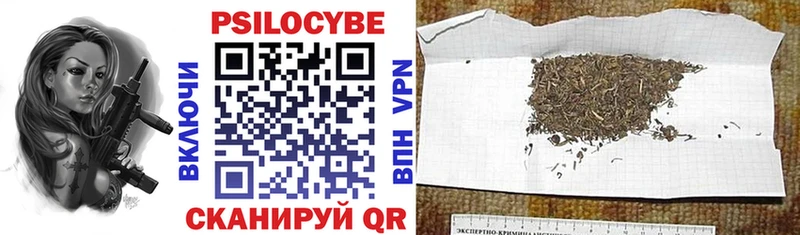 Купить закладки  Новое Девяткино  Псилоцибиновые грибы мицелий 